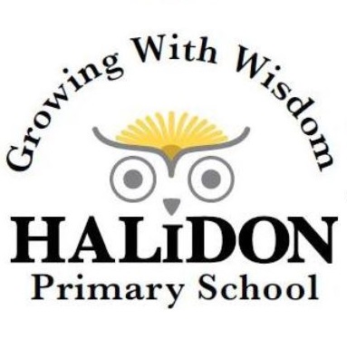 Halidon School Group